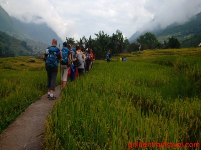 Sapa Hiking 3 Day Itinerary Thanh Phu, Sin Chai Village Route